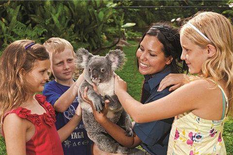 Kuranda Koala Gardens General Entry Ticket - Attractions 0
