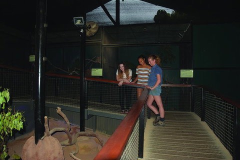 Kuranda Koala Gardens General Entry Ticket - Attractions 2