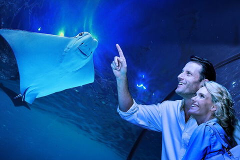 Cairns Aquarium Tour By Twilight With Drink And Appetiser - Attractions 4
