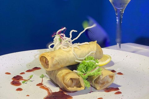Cairns Aquarium Marine Life Encounter Ticket With 2-Course Lunch - Attractions 1