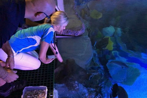 Cairns Aquarium Marine Life Encounter Ticket With 2-Course Lunch - Attractions 2