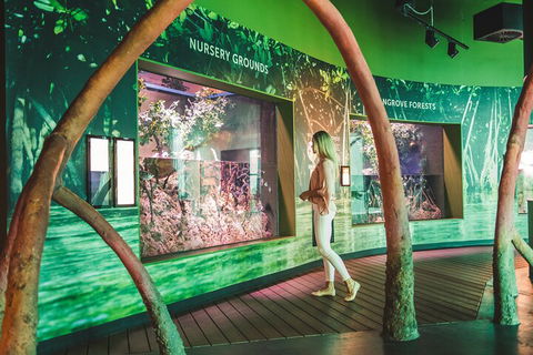 Cairns Aquarium Marine Life Encounter Ticket With 2-Course Lunch - Attractions 3