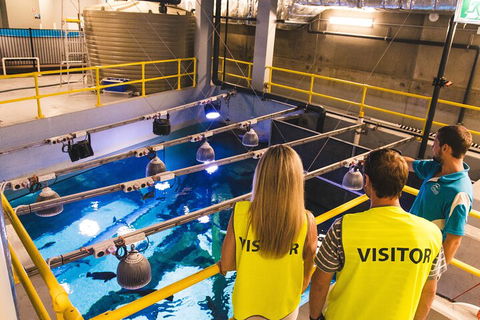 Cairns Aquarium Marine Life Encounter Ticket With 2-Course Lunch - Attractions 5