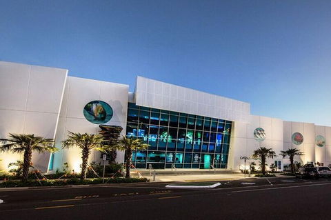 Cairns Aquarium Admission Ticket - Attractions 4