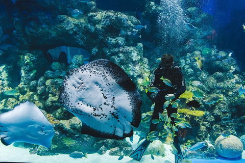 Cairns Aquarium Family Ticket - Attractions 4