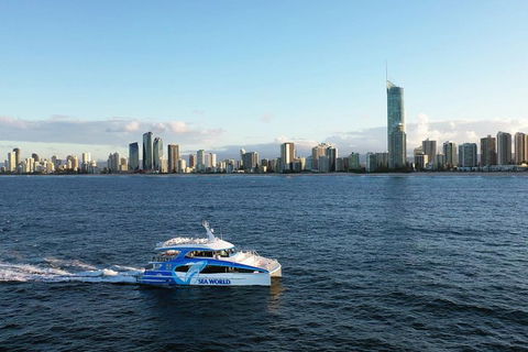 Whale Watching By Sea World Cruises - Attractions 1