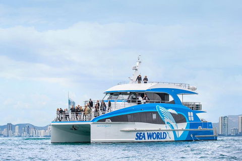 Whale Watching By Sea World Cruises - Attractions 3