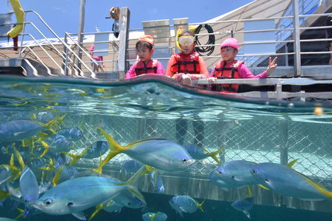 Outer Reef Pontoon Experience From Cairns - Attractions 0
