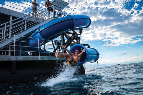 Outer Reef Pontoon Experience From Cairns - Attractions 3