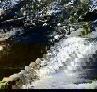 Cradle Mountain Day Tour from Launceston Including Lunch - Attractions