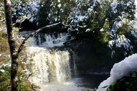 Cradle Mountain Park Explorer Guided Tour - Attractions 4