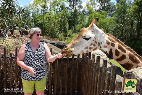 Small-Group Australia Zoo Day Trip From Brisbane - Attractions 2