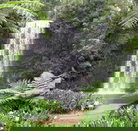 Private Daintree and Cape Tribulation Tour from Port Douglas - Attractions