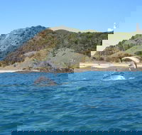 Kayaking with Dolphins in Byron Bay Guided Tour - Attractions
