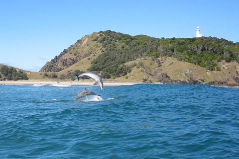 Kayaking With Dolphins In Byron Bay Guided Tour - Attractions 0