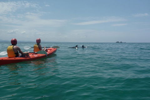 Kayaking With Dolphins In Byron Bay Guided Tour - Attractions 4