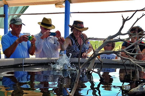 Cape Leveque 4WD Tour From Broome With Optional Return Flight - Attractions 0