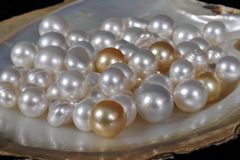 Cape Leveque 4WD Tour From Broome With Optional Return Flight - Attractions 5