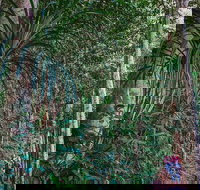 Atherton Tablelands Rain Forest by Night from Cairns - Attractions