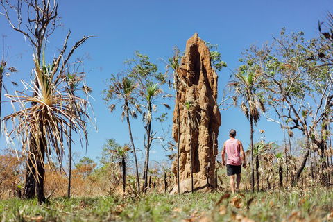 Litchfield National Park Waterfalls And Wildlife Tour From Darwin - Attractions 4