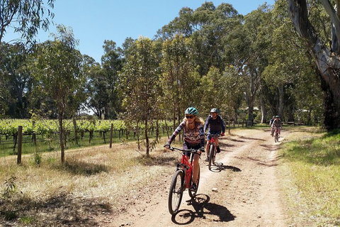 McLaren Vale Wine Tour By Bike - Attractions 1