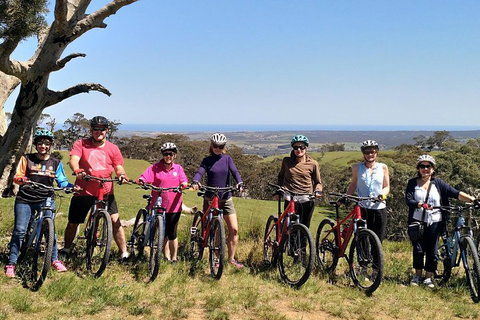 McLaren Vale Wine Tour By Bike - Attractions 2