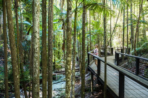 All-Inclusive Fraser Island Day Tour - Attractions 5