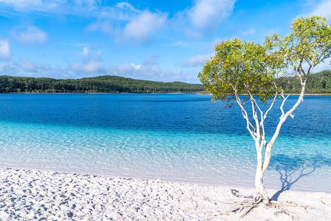 Lake McKenzie Full-Day Tour With Lunch From Hervey Bay - Attractions 1