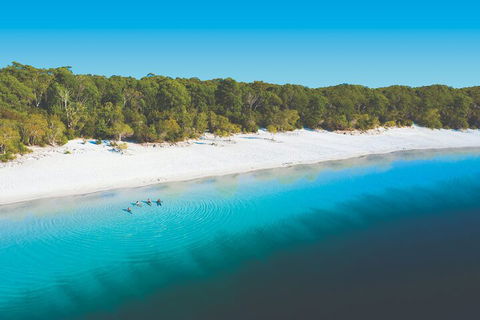 Lake McKenzie Full-Day Tour With Lunch From Hervey Bay - Attractions 4