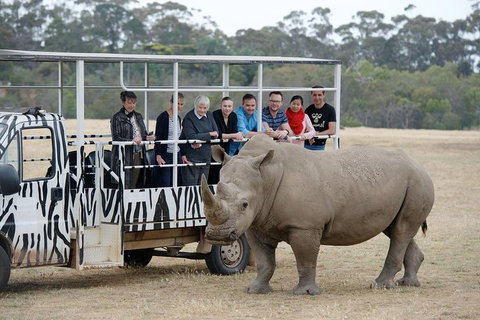 Off-Road Safari At Werribee Open Range Zoo - Attractions 0