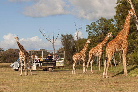 Off-Road Safari At Werribee Open Range Zoo - Attractions 3