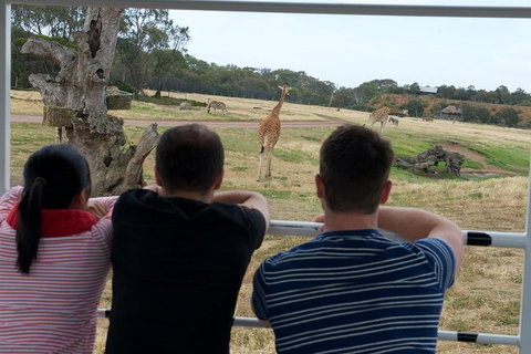 Off-Road Safari At Werribee Open Range Zoo - Attractions 4
