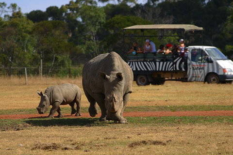 Off-Road Safari At Werribee Open Range Zoo - Attractions 5