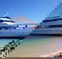 Moreton Island Day Trip Kayak Snorkel  Sandboard frm Brisbane or Gold Coast - Attractions