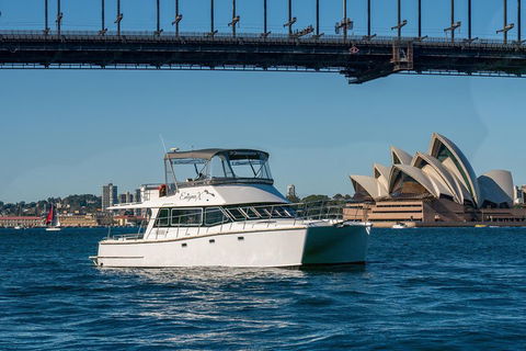Vivid 90-Minute Sydney Harbour Small Group Catamaran Cruise - Attractions Las Vegas 2