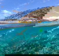 Great Barrier Reef Scenic Flight and Ocean Rafting Whitehaven Beach Day Trip - Attractions