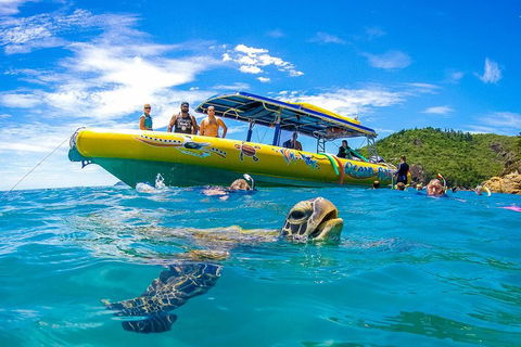 Great Barrier Reef Scenic Flight And Ocean Rafting Whitehaven Beach Day Trip - Attractions 1