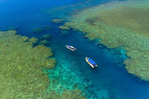 Great Barrier Reef Scenic Flight And Ocean Rafting Whitehaven Beach Day Trip - Attractions 4