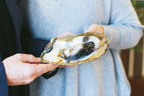 Half-Day Willie Creek Pearl Farm Tour With Helicopter Flight - See Attractions 3