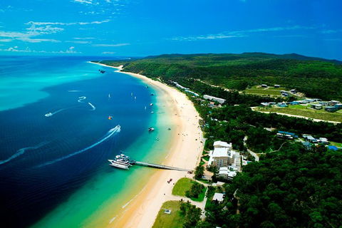 Tangalooma Island Resort Whale Watching Day Cruise - Attractions 2