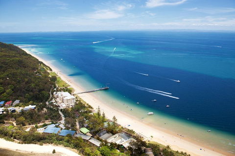 Tangalooma Island Resort Whale Watching Day Cruise - Attractions 3