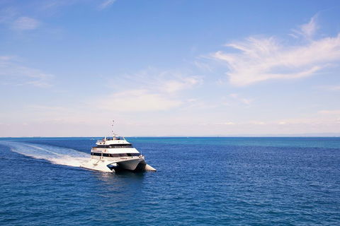 Tangalooma Island Resort Whale Watching Day Cruise - Attractions 5