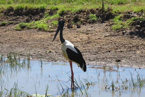 Darwin To Kakadu Day Trip By Air Including Yellow Water Cruise - Attractions 0