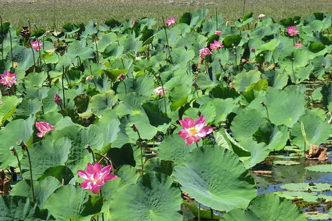 Darwin To Kakadu Day Trip By Air Including Yellow Water Cruise - Attractions 2