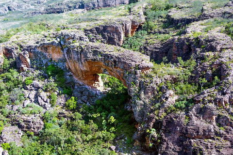 Darwin To Kakadu Day Trip By Air Including Yellow Water Cruise - Attractions 4