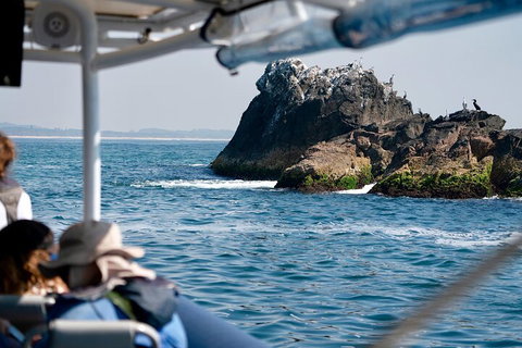 Julian Rocks Byron Bay Cruise - See Attractions 2