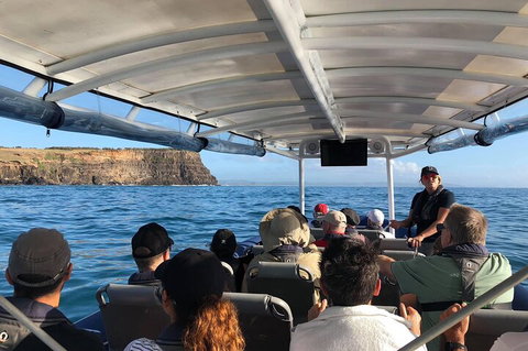 Julian Rocks Byron Bay Cruise - See Attractions 4