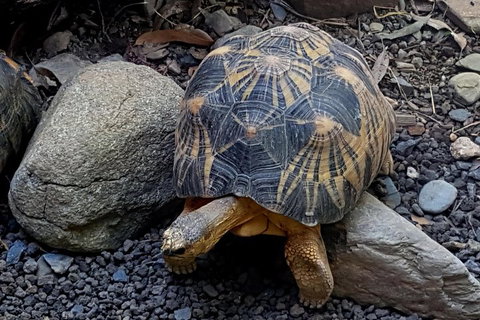 Hartley's Crocodile Adventures General Entry Ticket - Attractions 2