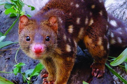 Hartley's Crocodile Adventures General Entry Ticket - Attractions 4