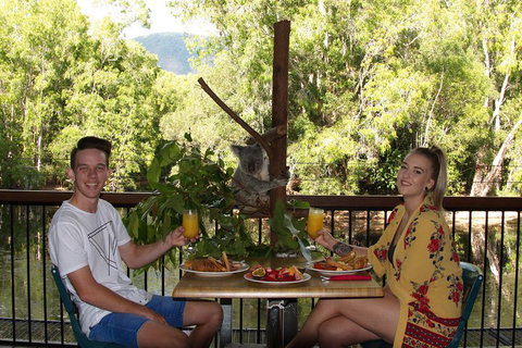 Hartley's Crocodile Adventures Breakfast With The Koalas - Attractions 5